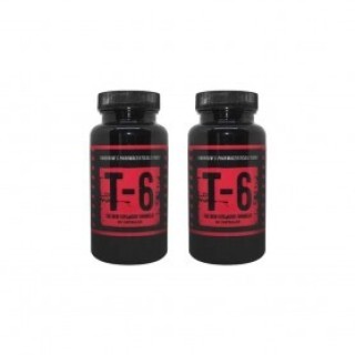 ZION LABS T-6 60 kapsul 2x Zion Labs